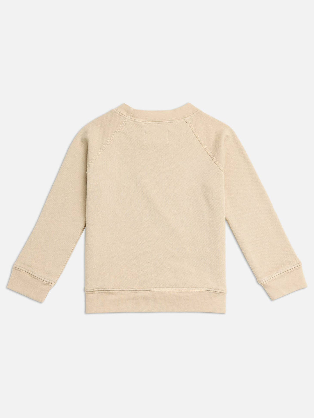 Mini Organic Terry Raglan Sweatshirt - Echo Market