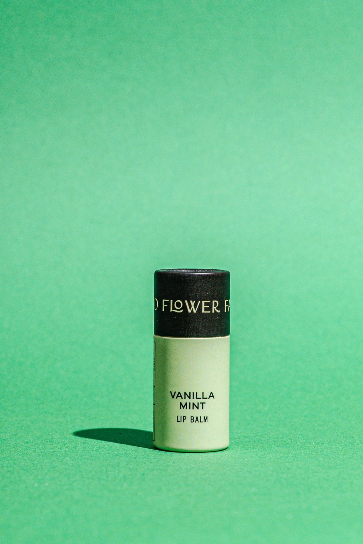 A single tube of lip balm standing upright on a solid mint green background. The lip balm tube is light green with a black cap, and the text on the tube reads 'VANILLA MINT LIP BALM'.