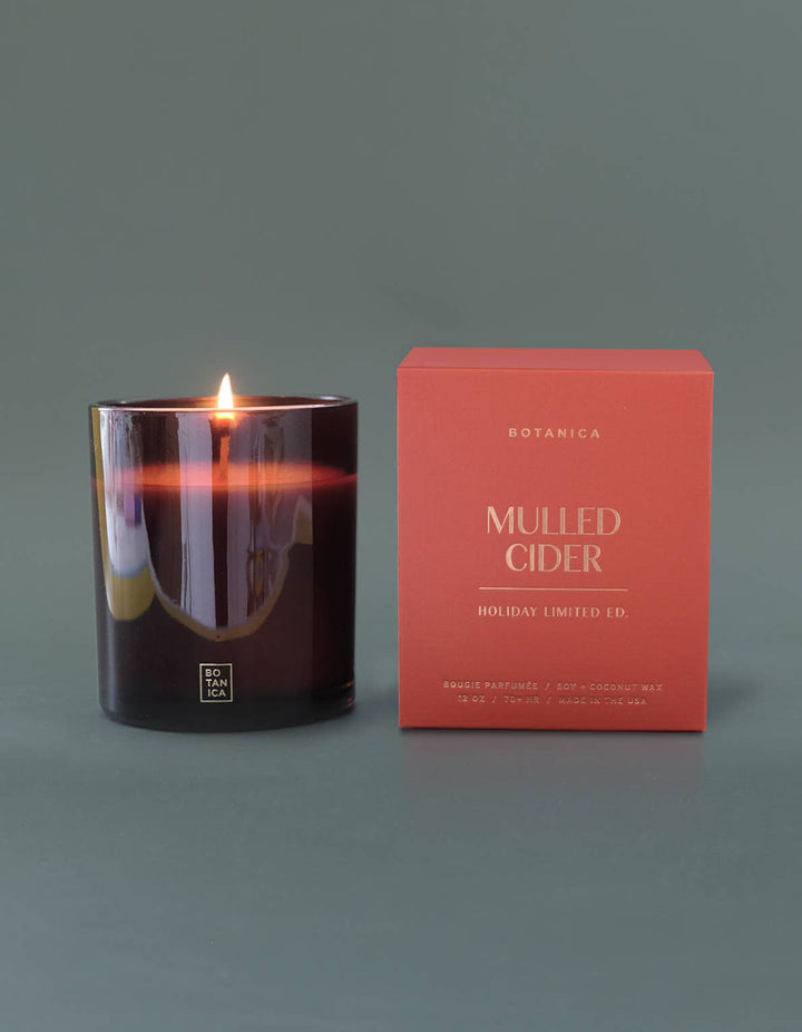 Mulled Cider Holiday Candle - Echo Market