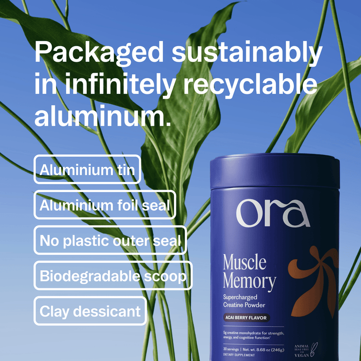 Muscle Memory Creatine Powder - Echo Market