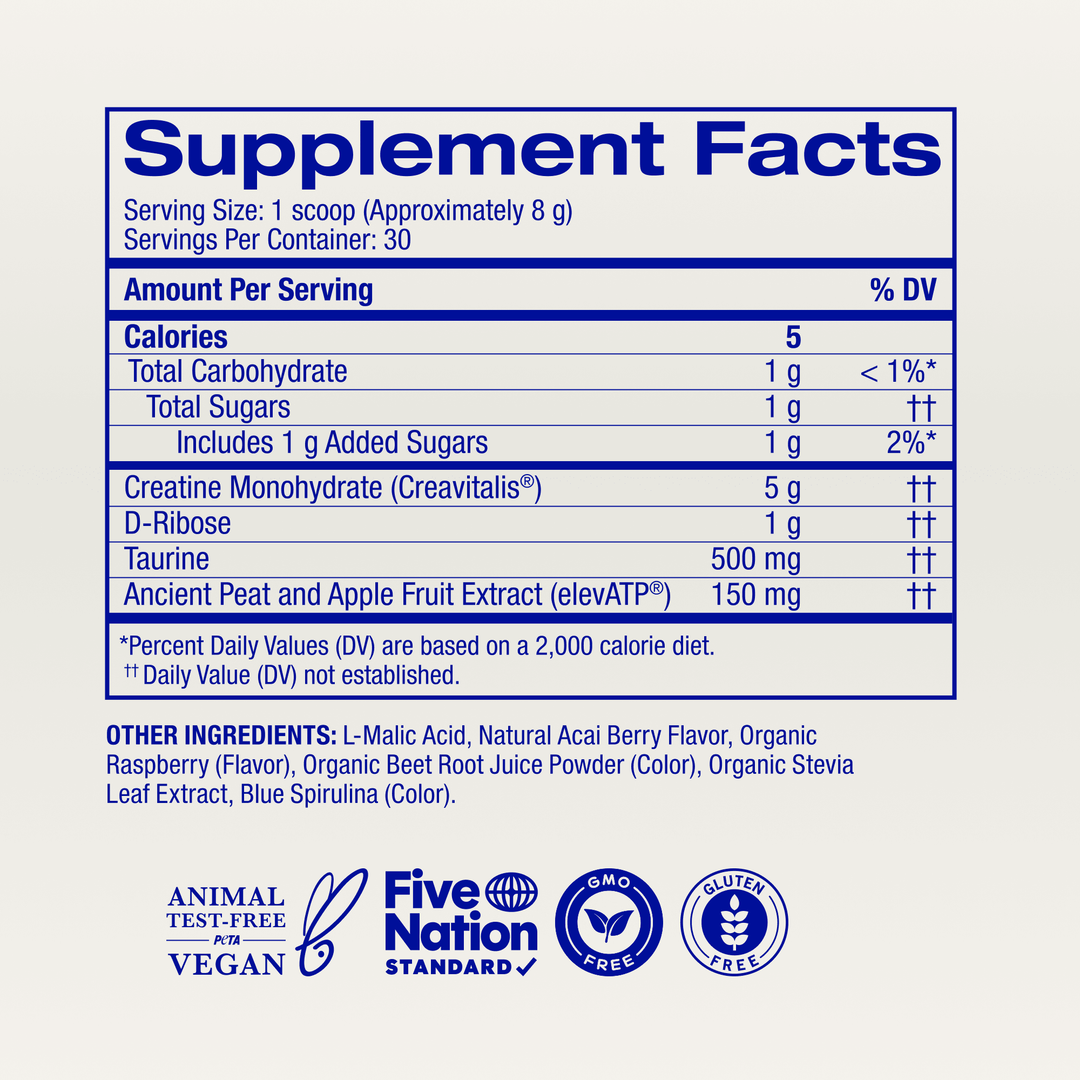 Muscle Memory Creatine Powder - Echo Market