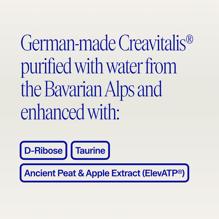 Muscle Memory Creatine Powder - Echo Market