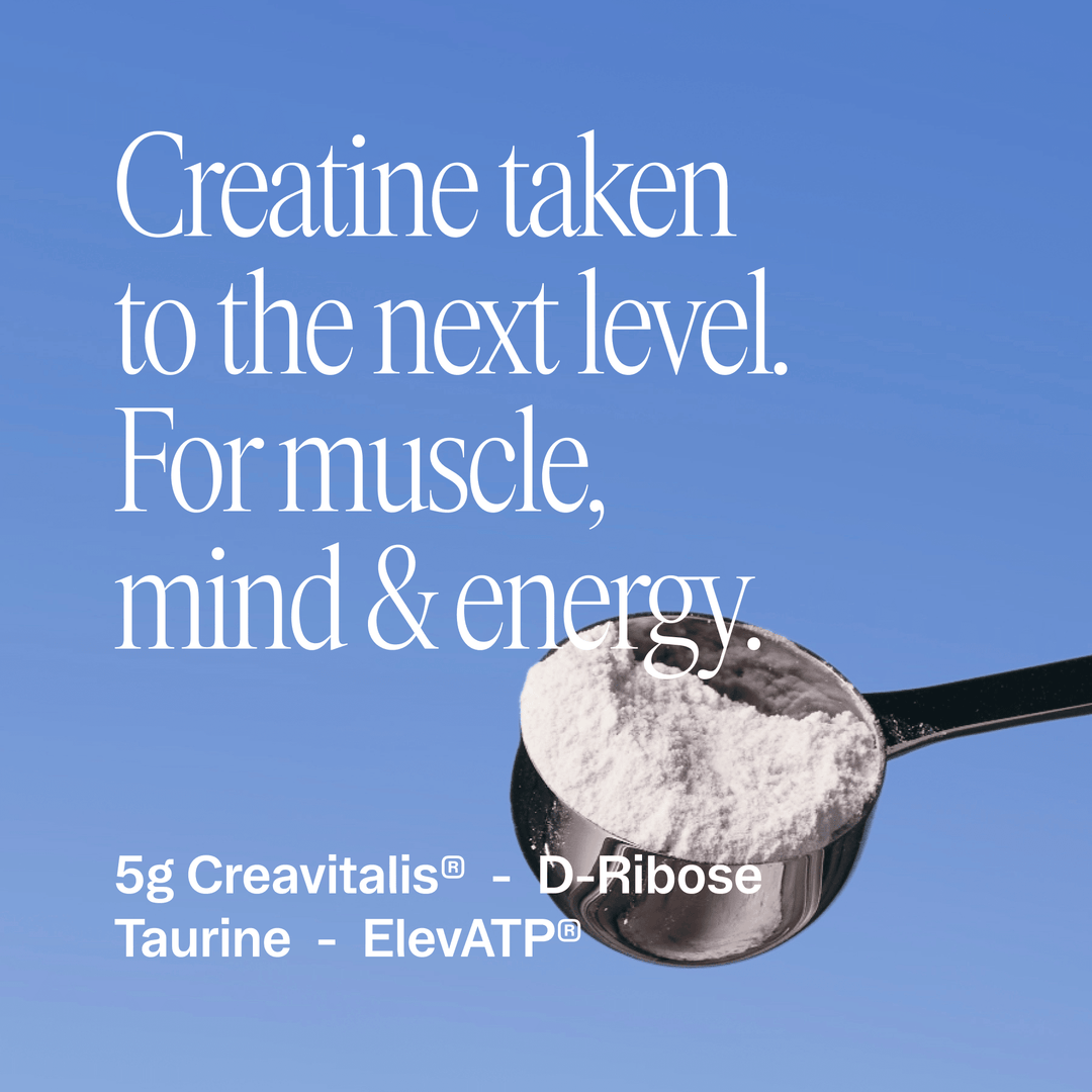 Muscle Memory Creatine Powder - Echo Market