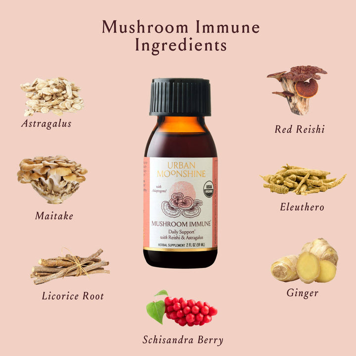 Mushroom Immune - Echo Market