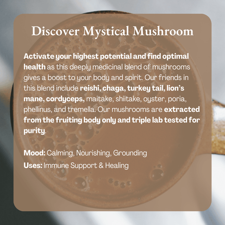 Mystical Mushroom Cacao | Organic Ceremonial Chocolate - Echo Market