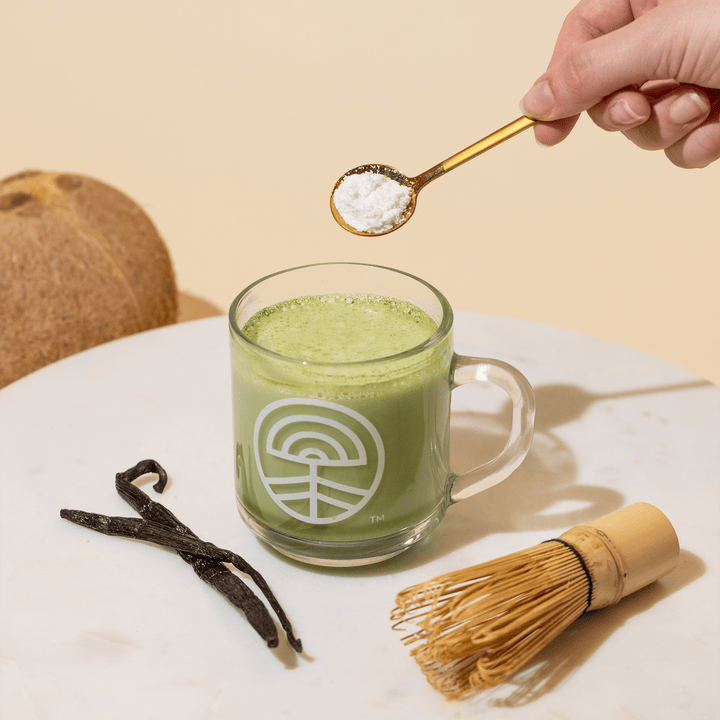 Nootropic Creamer Advanced Superfood - Echo Market