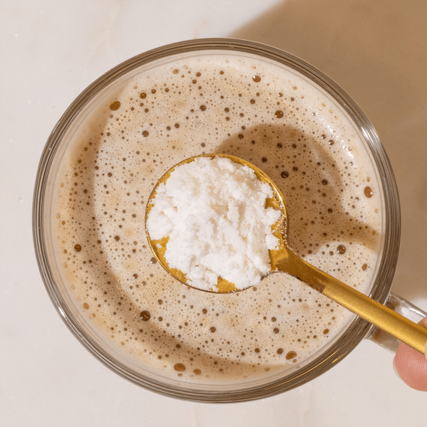 Nootropic Creamer Advanced Superfood - Echo Market