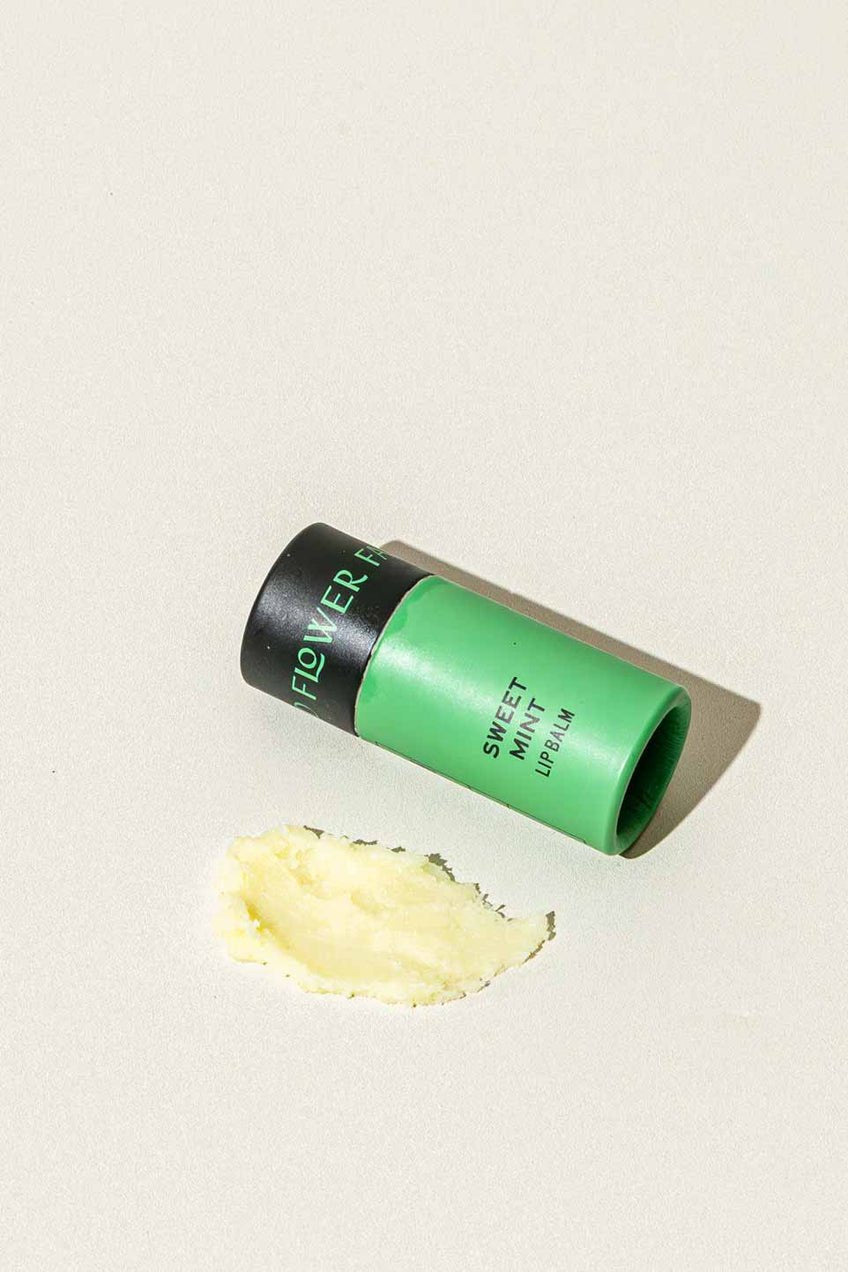 Nourishing Organic Lip Balms - Echo Market