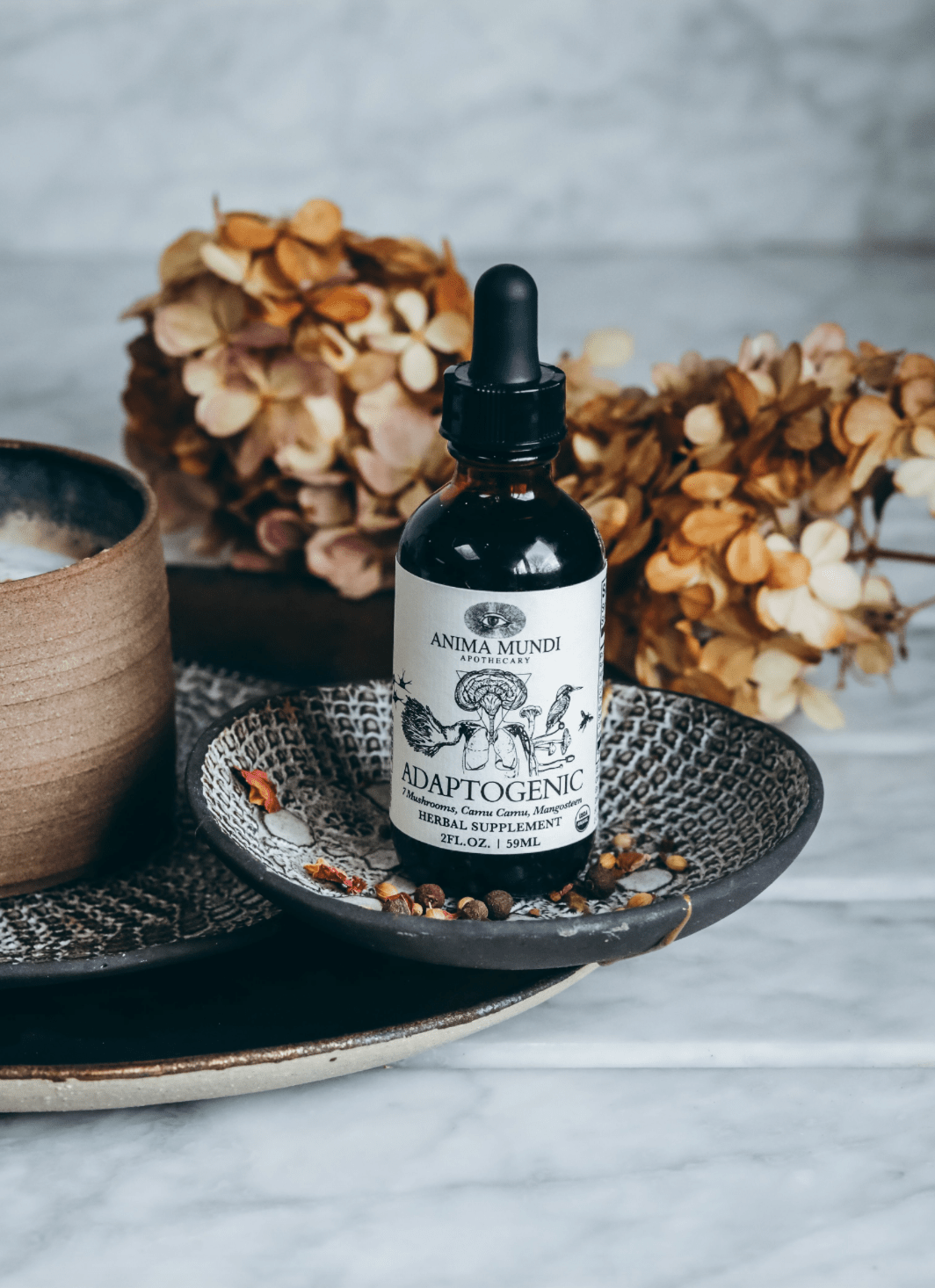 Organic Adaptogenic Tonic | 7 Mushrooms, Camu Camu, Mangosteen - Echo Market