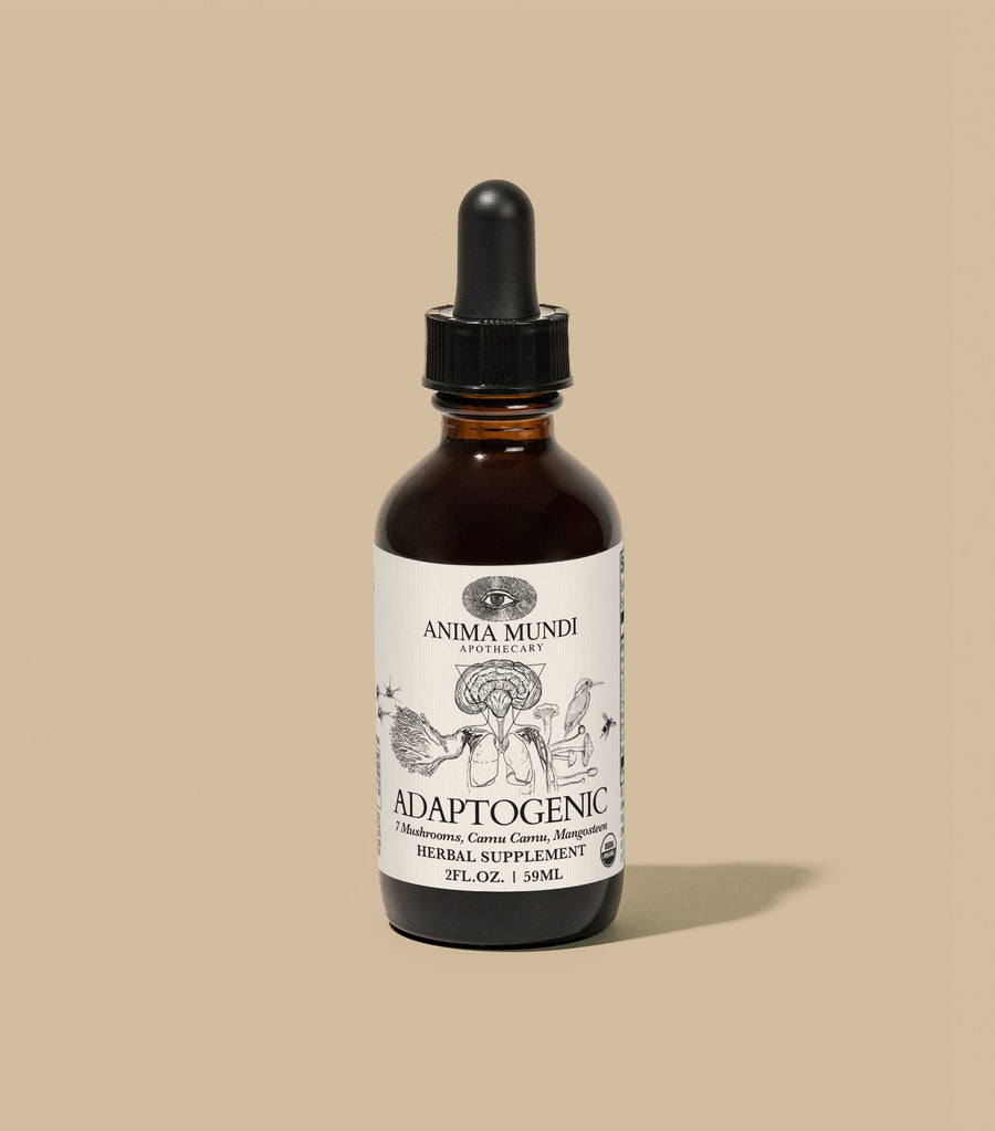 Organic Adaptogenic Tonic | 7 Mushrooms, Camu Camu, Mangosteen - Echo Market