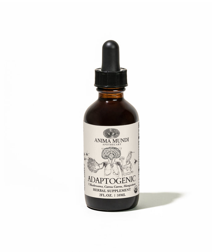 Organic Adaptogenic Tonic | 7 Mushrooms, Camu Camu, Mangosteen - Echo Market