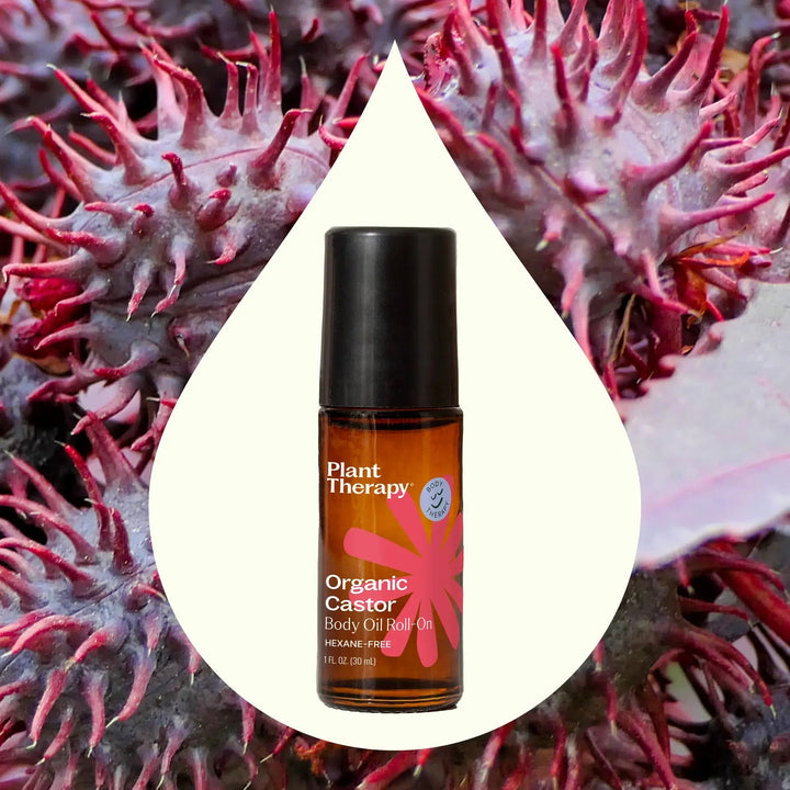 Organic Castor Body Oil Roll - On - Echo Market
