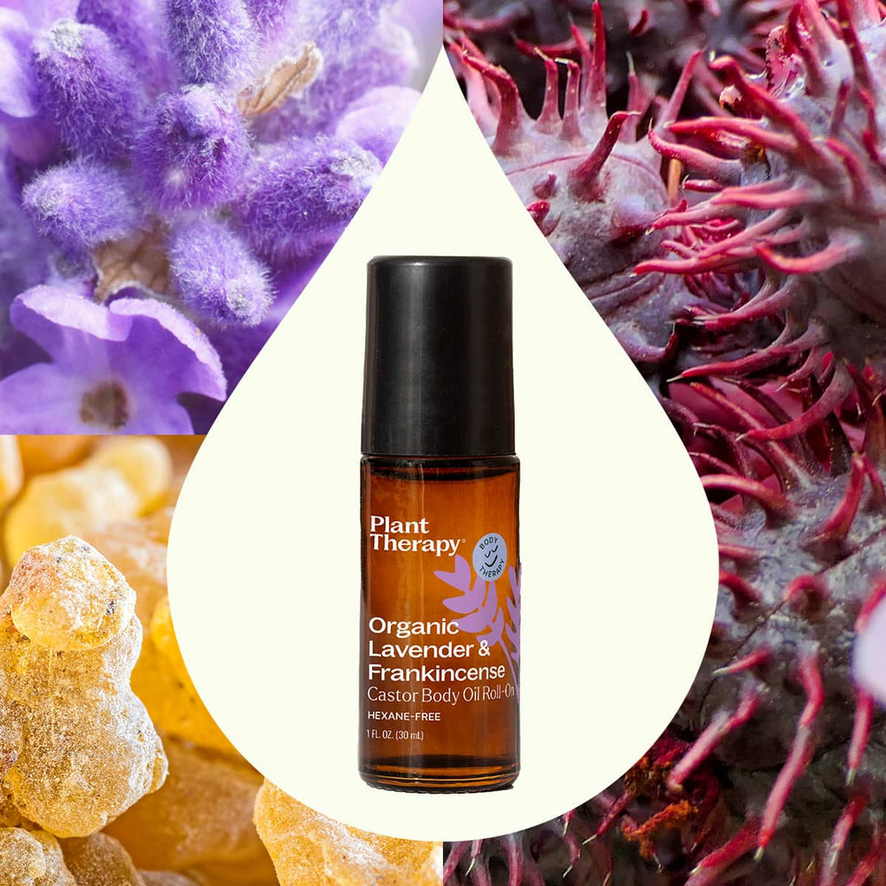 Organic Castor Body Oil Roll - On | Lavender & Frankincense - Echo Market