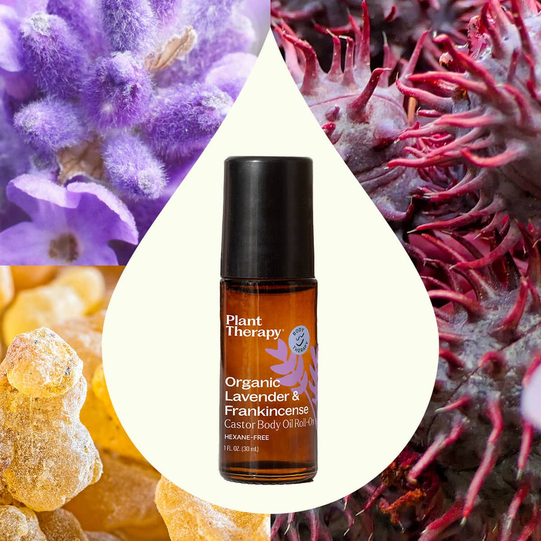 Organic Castor Body Oil Roll - On | Lavender & Frankincense - Echo Market