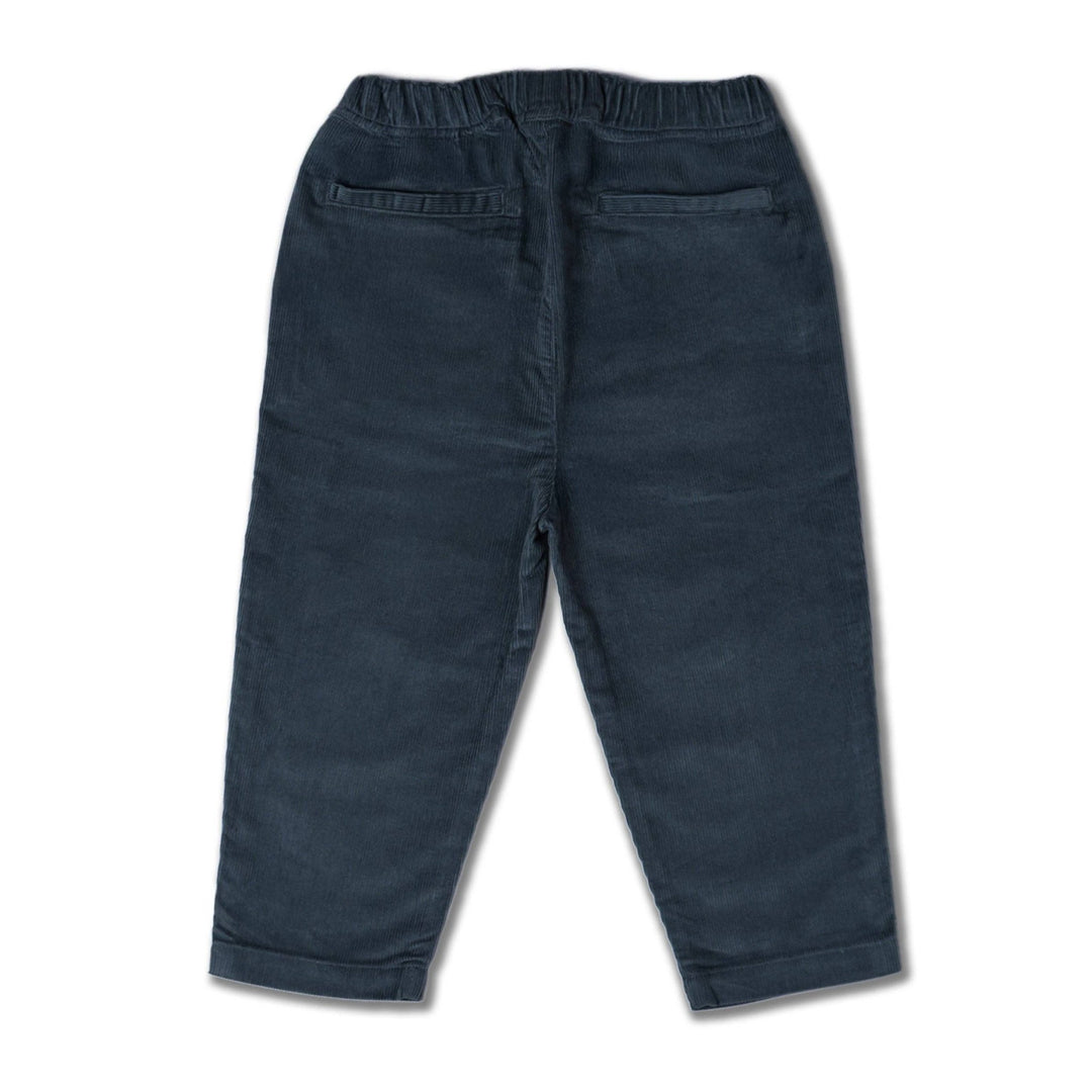 Organic Corduroy Pant | Hale Navy - Echo Market