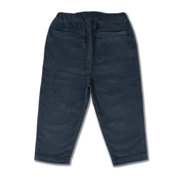 Organic Corduroy Pant | Hale Navy - Echo Market