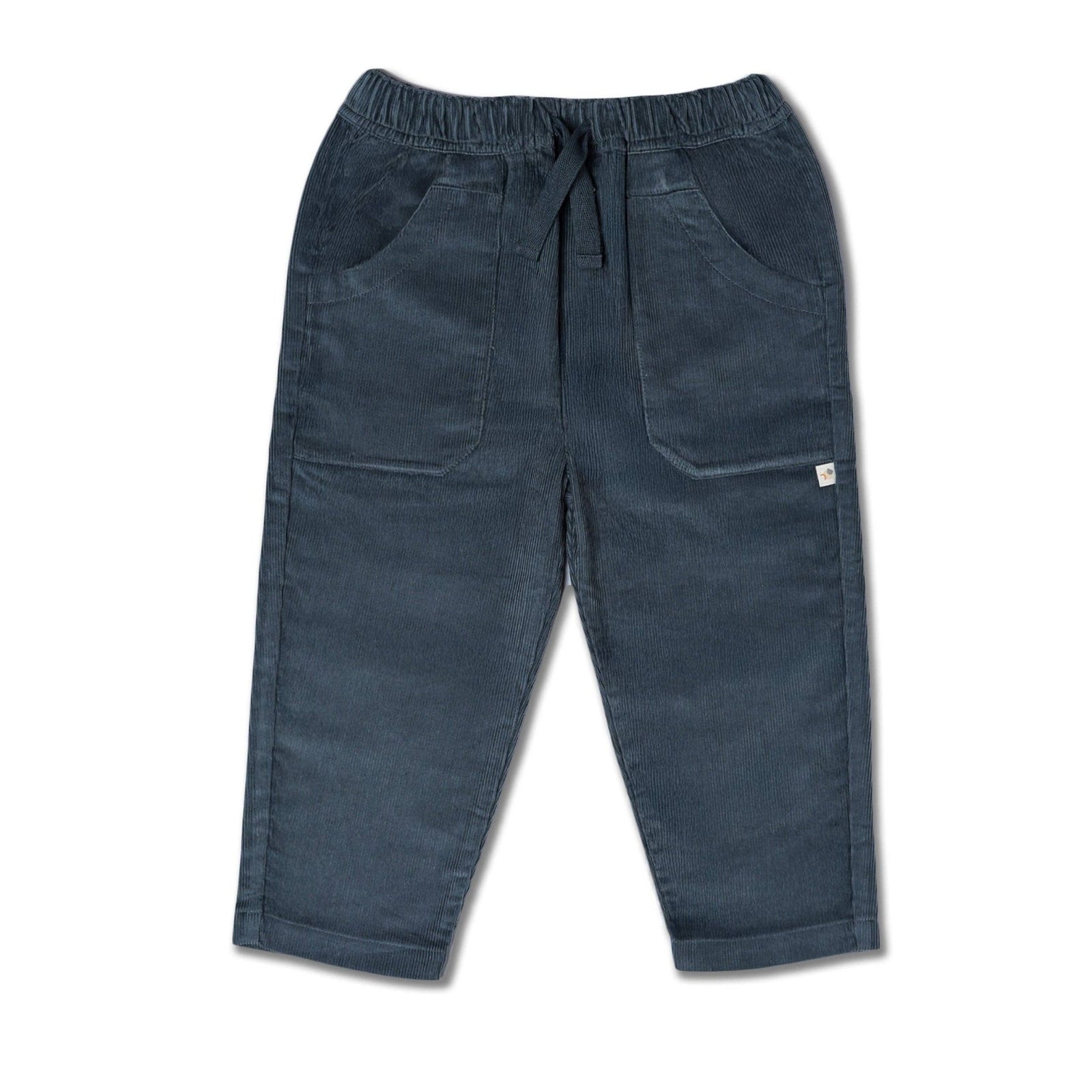 Organic Corduroy Pant | Hale Navy - Echo Market