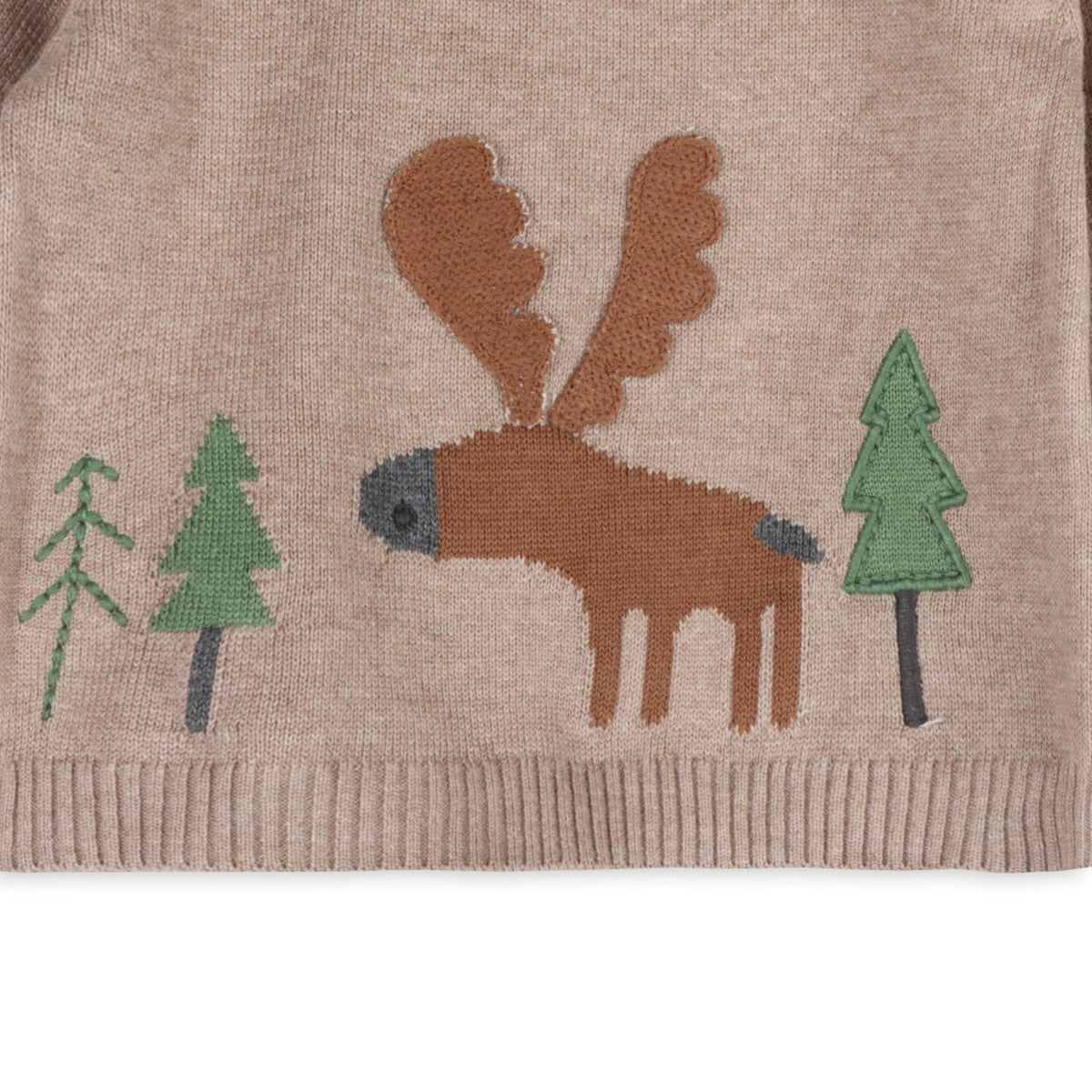 Organic Cotton Moose Woods Knit Baby Pullover - Echo Market