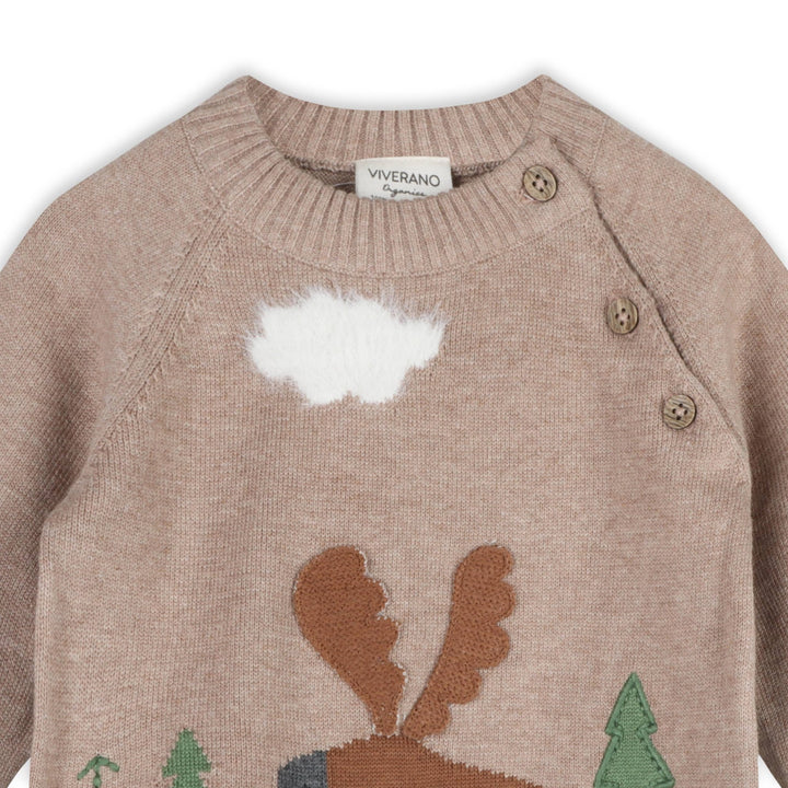 Organic Cotton Moose Woods Knit Baby Pullover - Echo Market