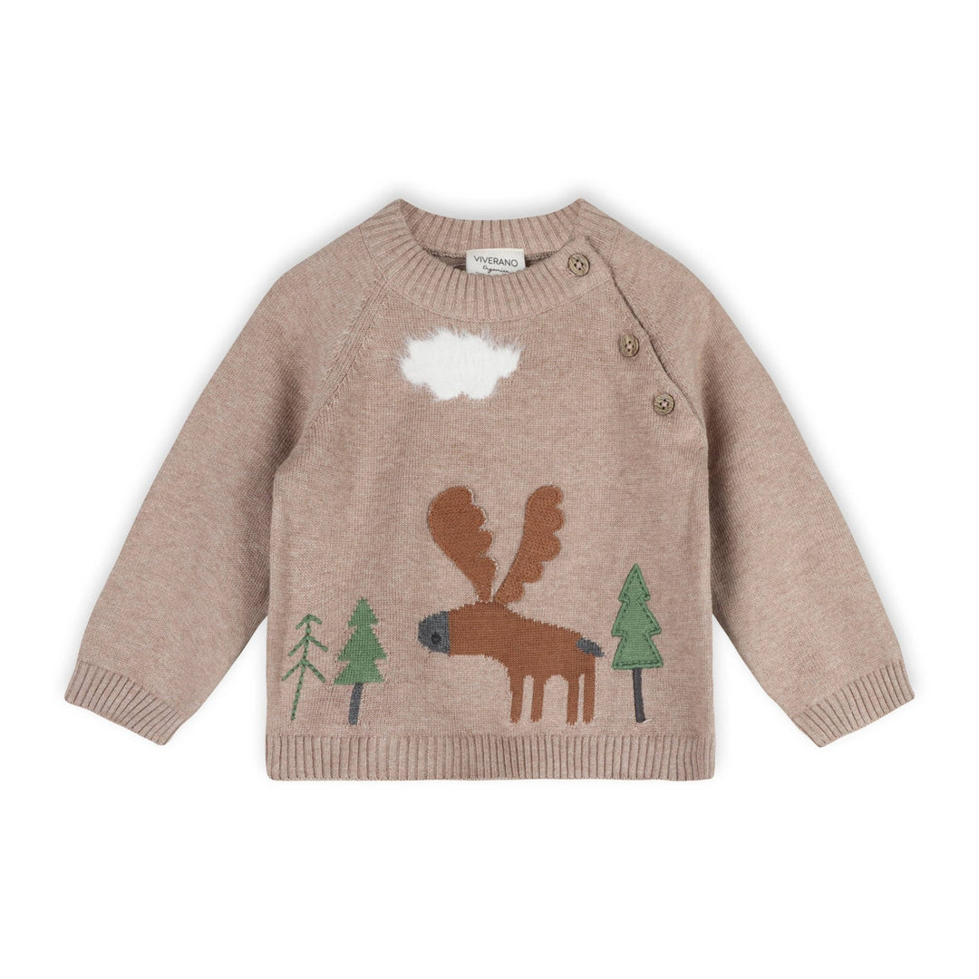 Organic Cotton Moose Woods Knit Baby Pullover - Echo Market