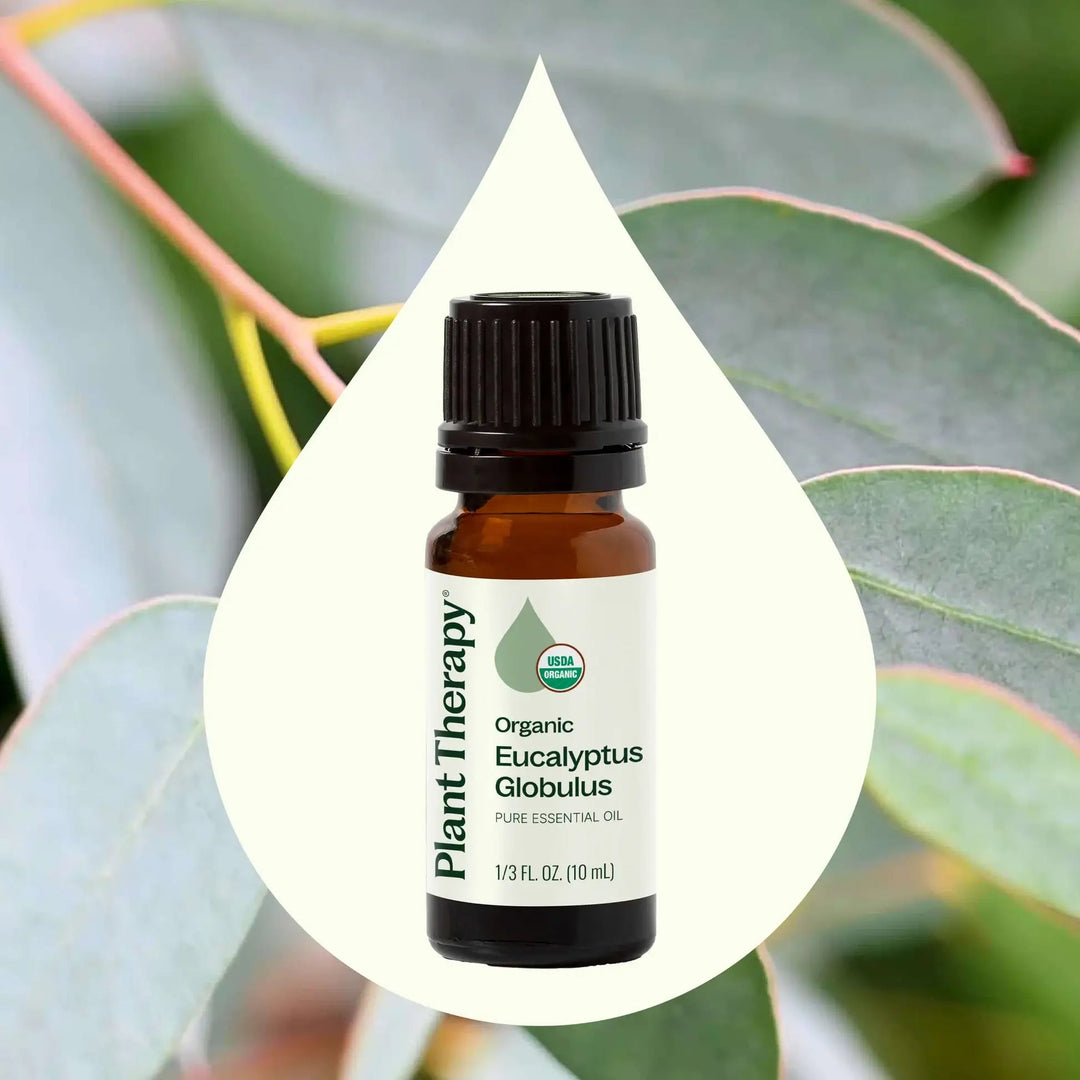 Organic Eucalyptus Globulus Essential Oil - Echo Market