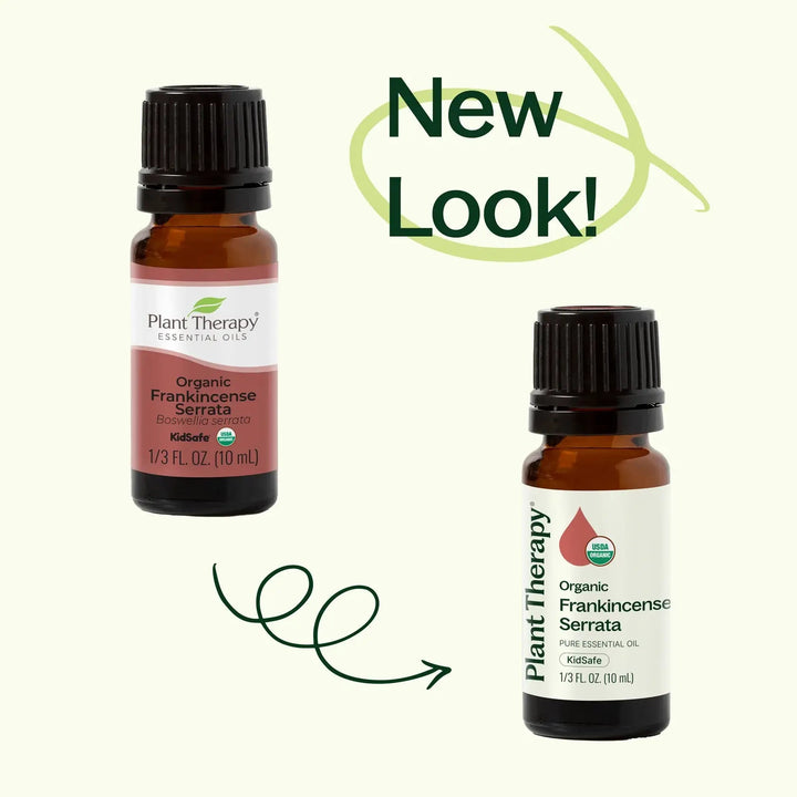 Organic Frankincense Serrata Essential Oil - Echo Market