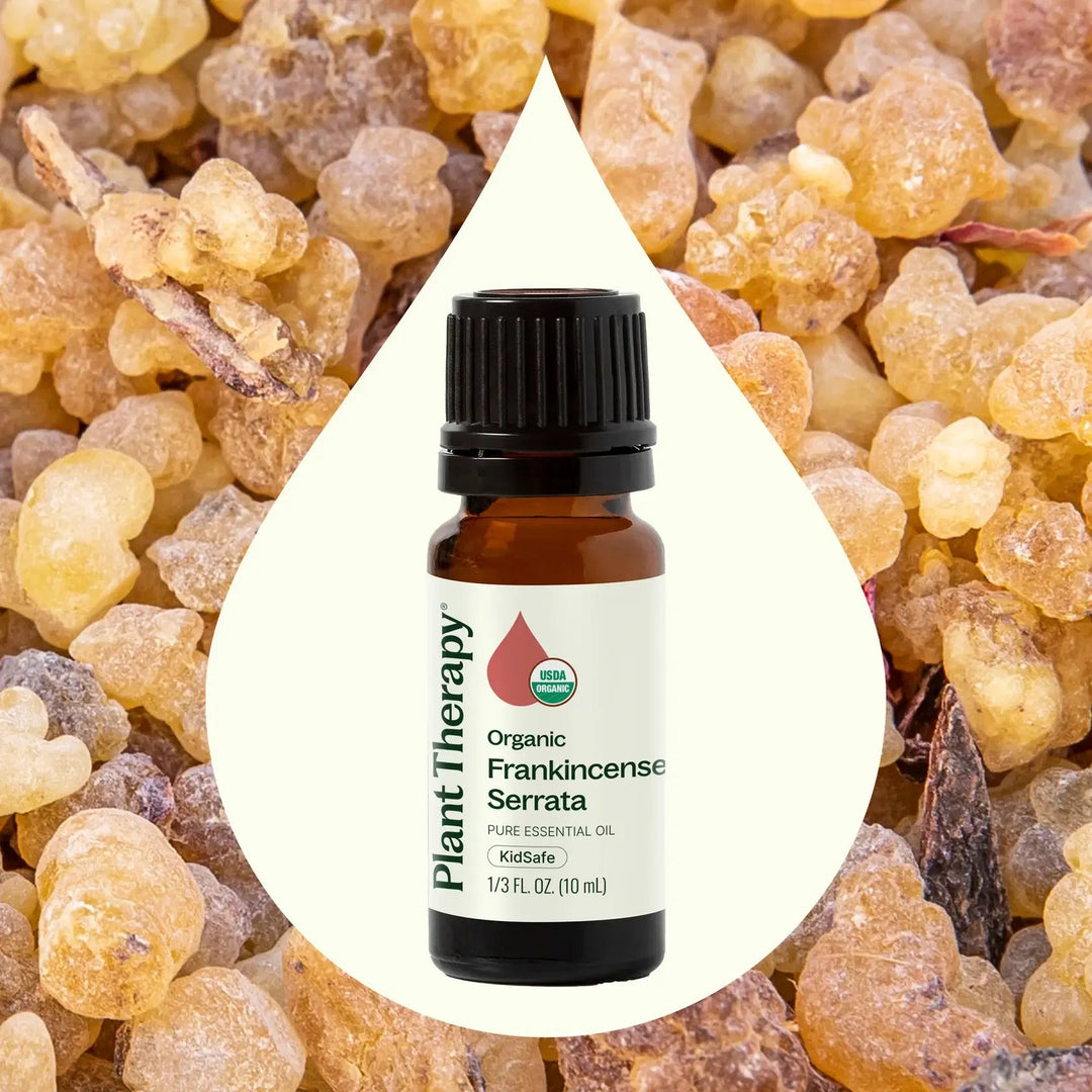 Organic Frankincense Serrata Essential Oil - Echo Market