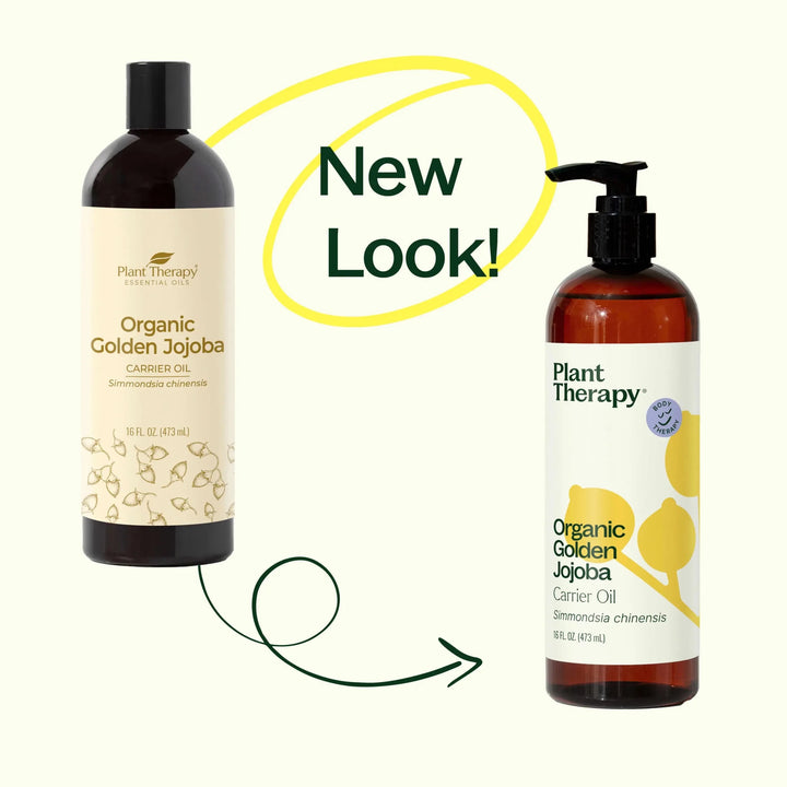 Organic Golden Jojoba Carrier Oil - Echo Market