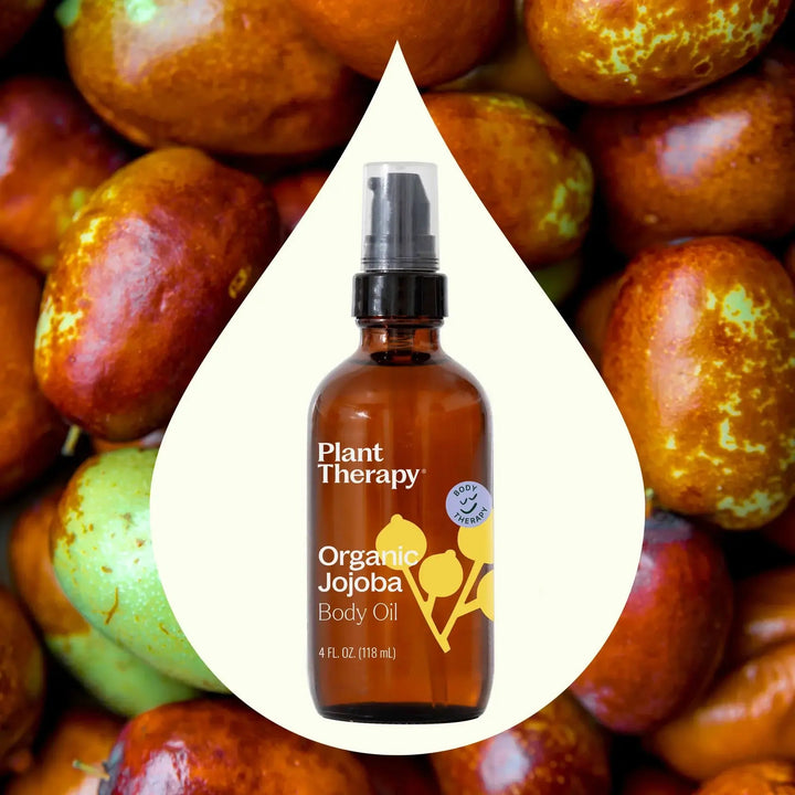 Plant Therapy Organic Jojoba Body Oil bottle surrounded by jojoba beans
