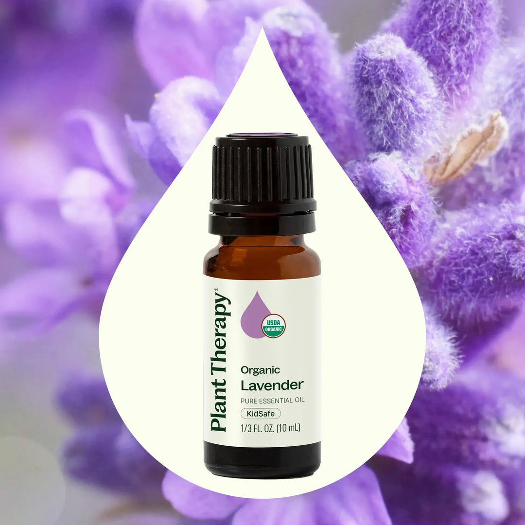 Organic Lavender Essential Oil - Echo Market
