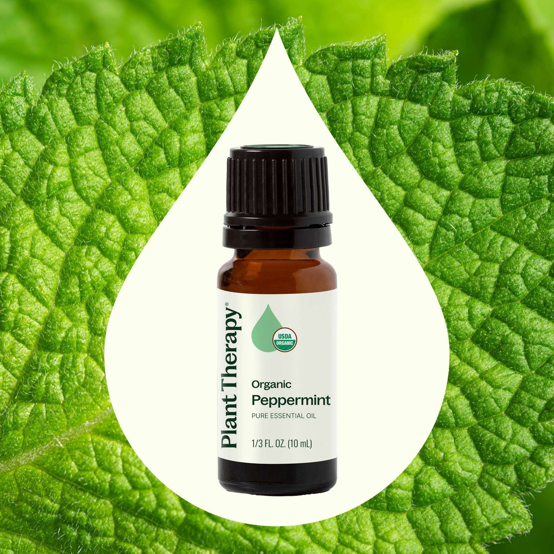 Organic Peppermint Essential Oil - Echo Market