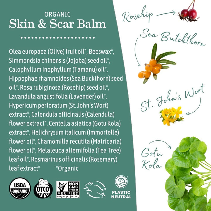 Organic Skin and Scar Balm - Echo Market