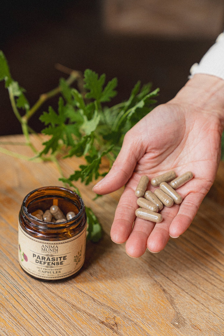 PARASITE DEFENSE | Gut Protection* Capsules - Echo Market