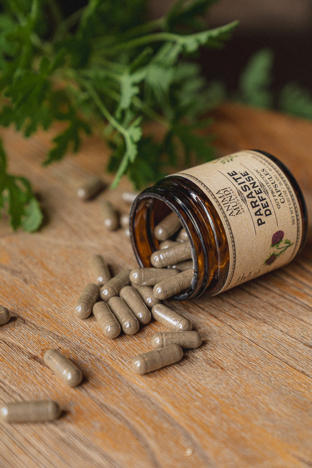 PARASITE DEFENSE | Gut Protection* Capsules - Echo Market