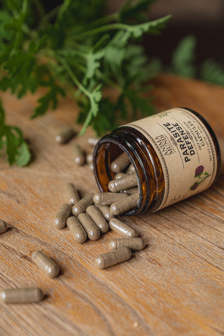 PARASITE DEFENSE | Gut Protection* Capsules - Echo Market