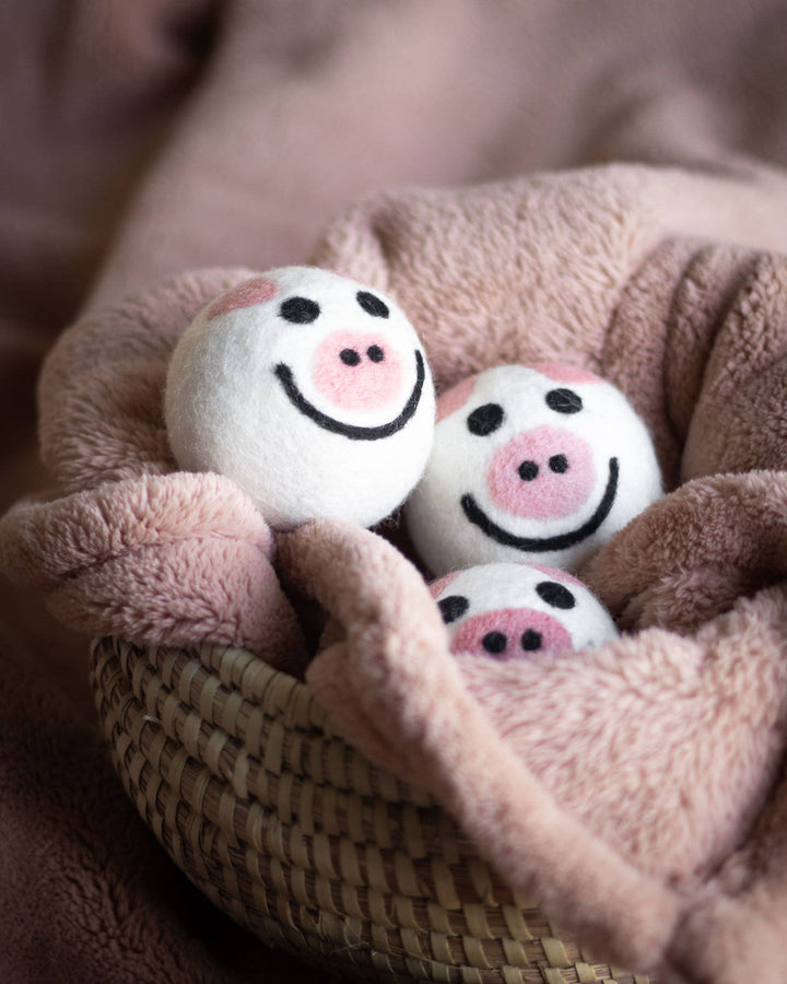 Piggy Eco Dryer Balls - Echo Market