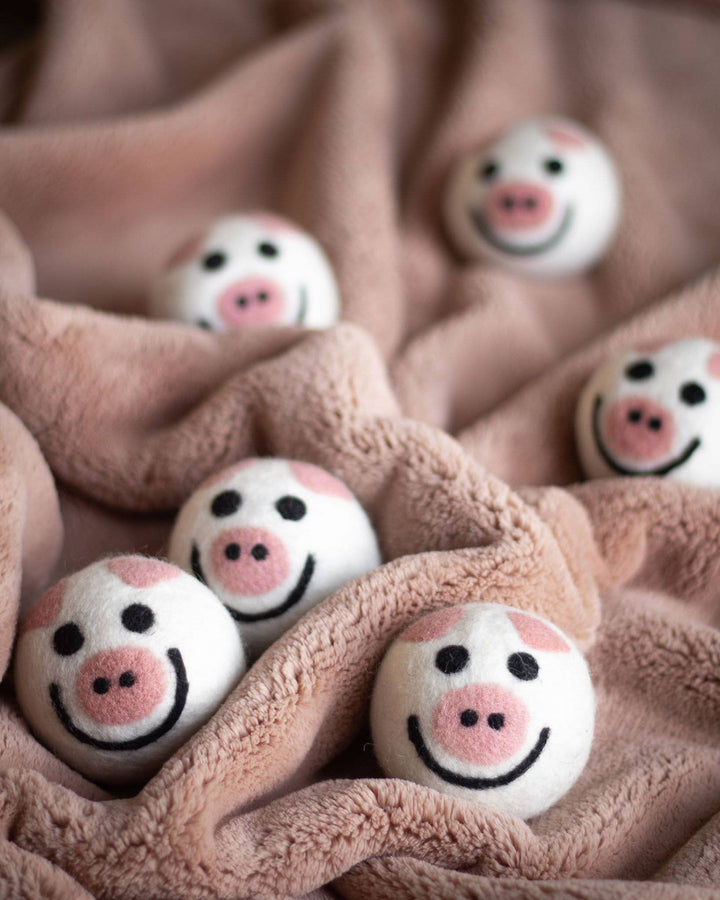 Piggy Eco Dryer Balls - Echo Market