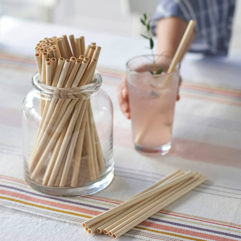 Precision Bamboo Straw | Set of 6 - Echo Market