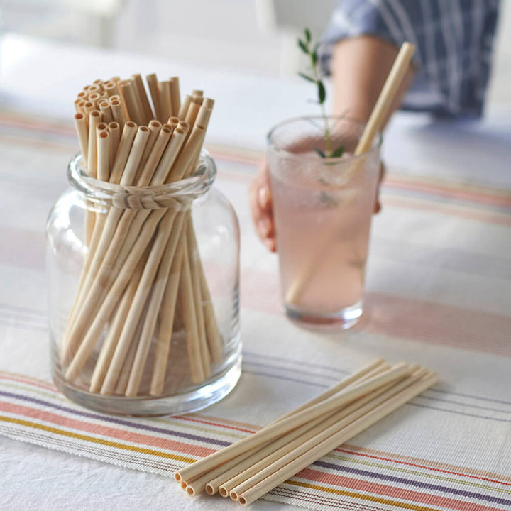 Precision Bamboo Straw | Set of 6 - Echo Market