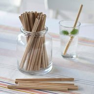 Precision Bamboo Straw | Set of 6 - Echo Market