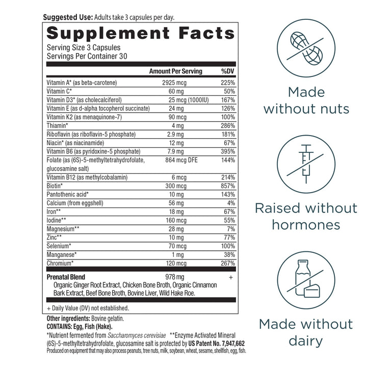 Prenatal Multivitamin - Echo Market