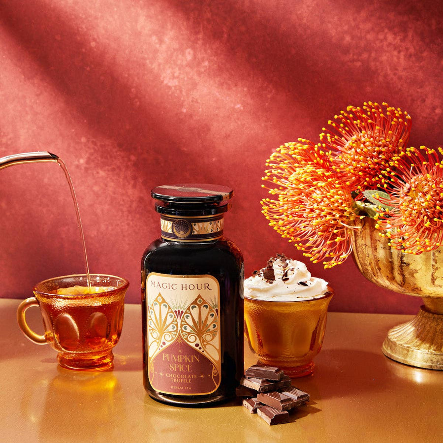 Pumpkin Spice Chocolate Truffle - Echo Market