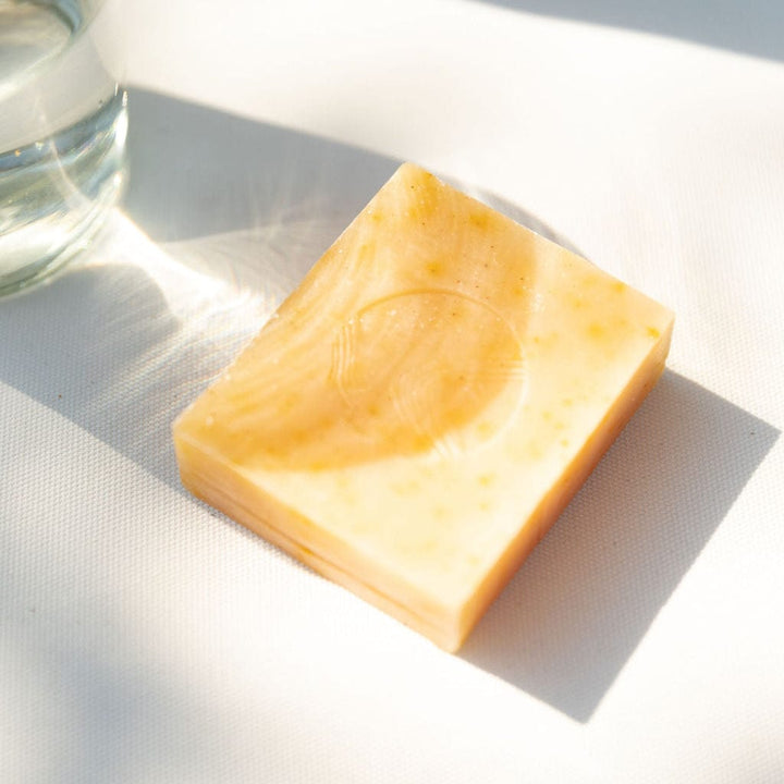 Pumpkin &amp; Wild Carrot Brightening Cleanser - Echo Market