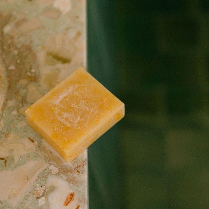 Pumpkin &amp; Wild Carrot Brightening Cleanser - Echo Market