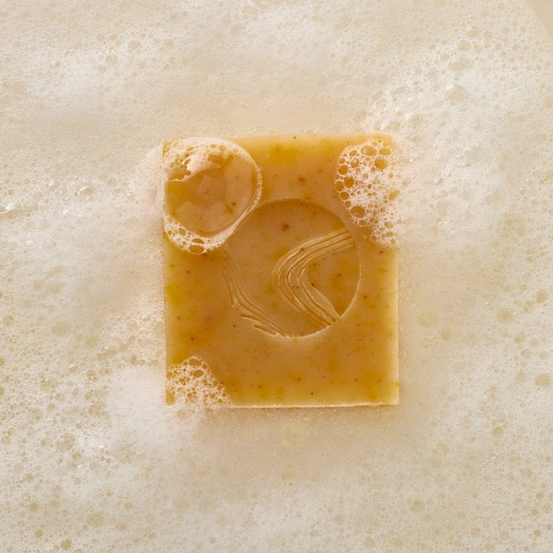 Pumpkin &amp; Wild Carrot Brightening Cleanser - Echo Market