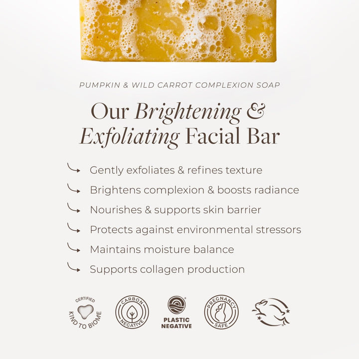 Pumpkin &amp; Wild Carrot Brightening Cleanser - Echo Market