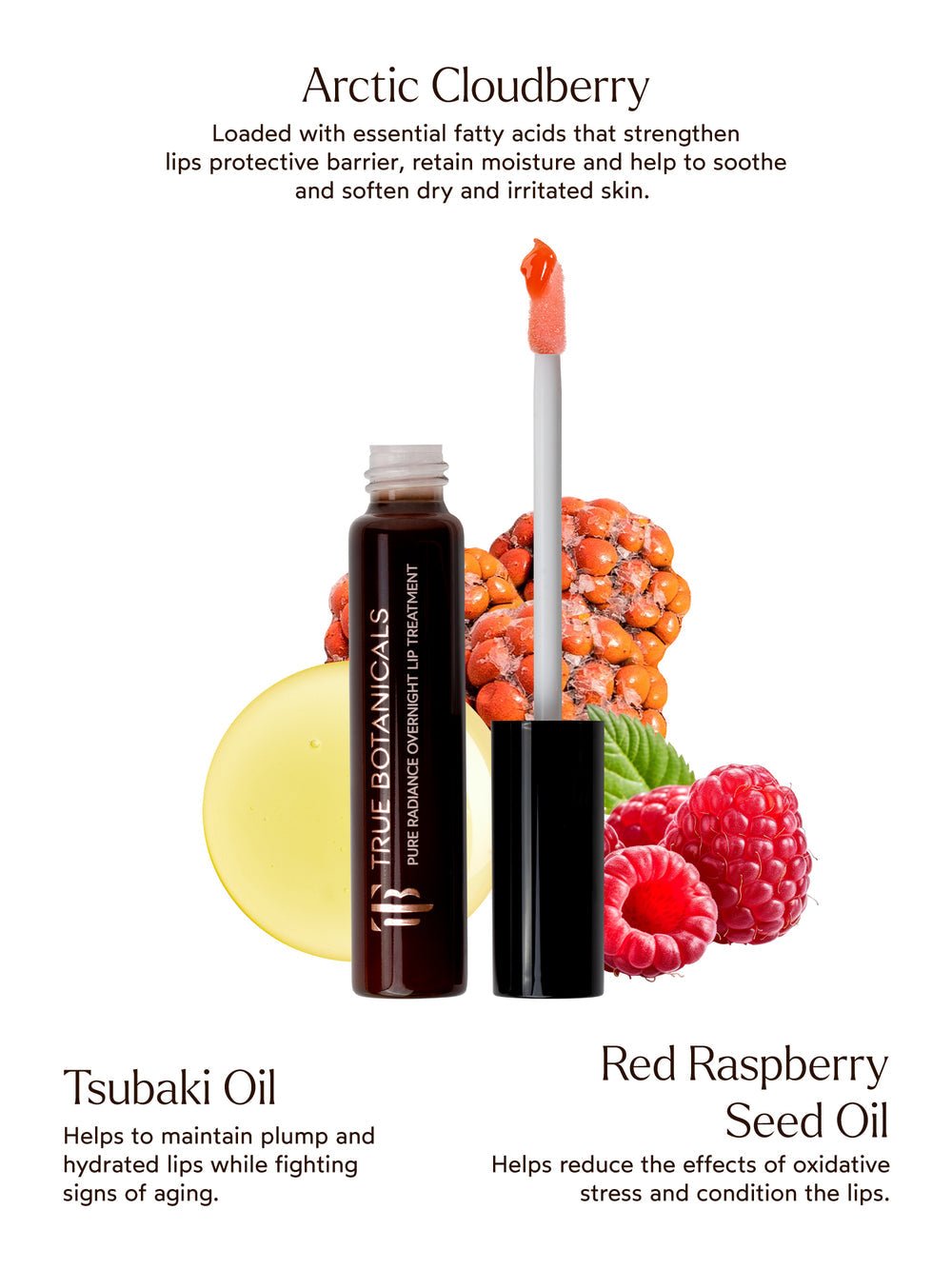 Pure Radiance Overnight Lip Treatment - Echo Market