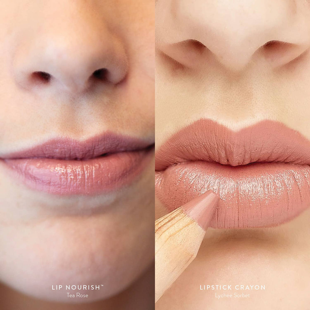 Recipe of a Lipstick | Nude Rose Duo - Echo Market