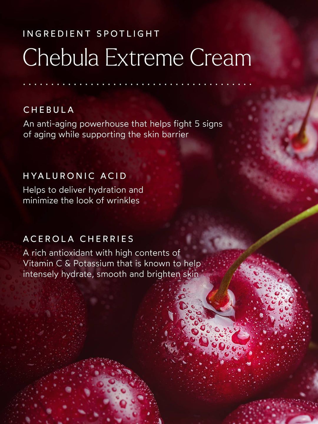 Renew Chebula Extreme Cream - Echo Market