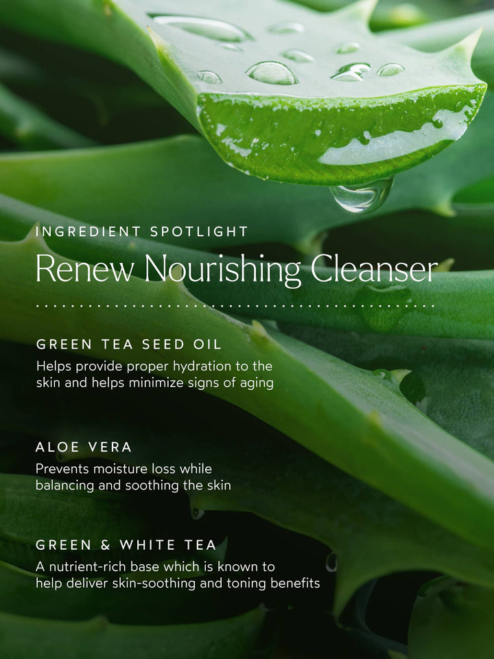 Renew Nourishing Cleanser - Echo Market